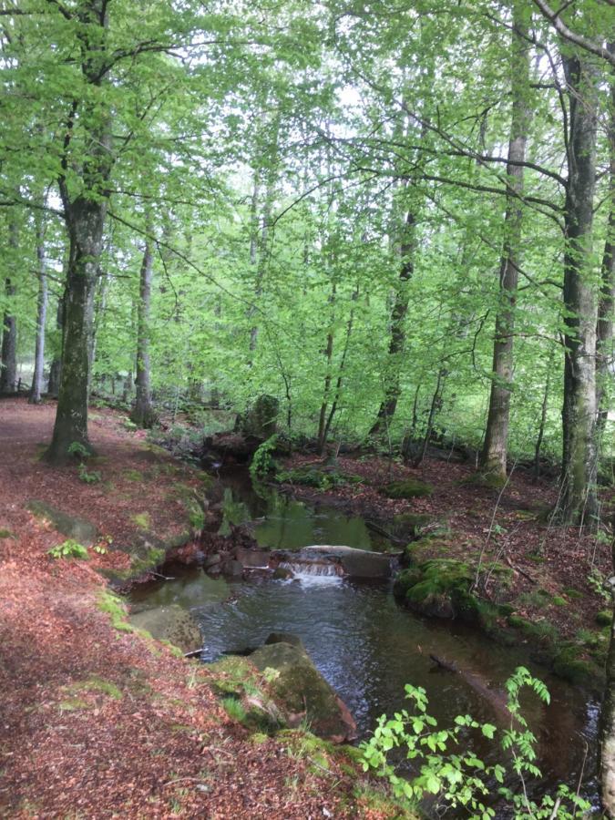 Dövared Tvååker Exteriör bild
