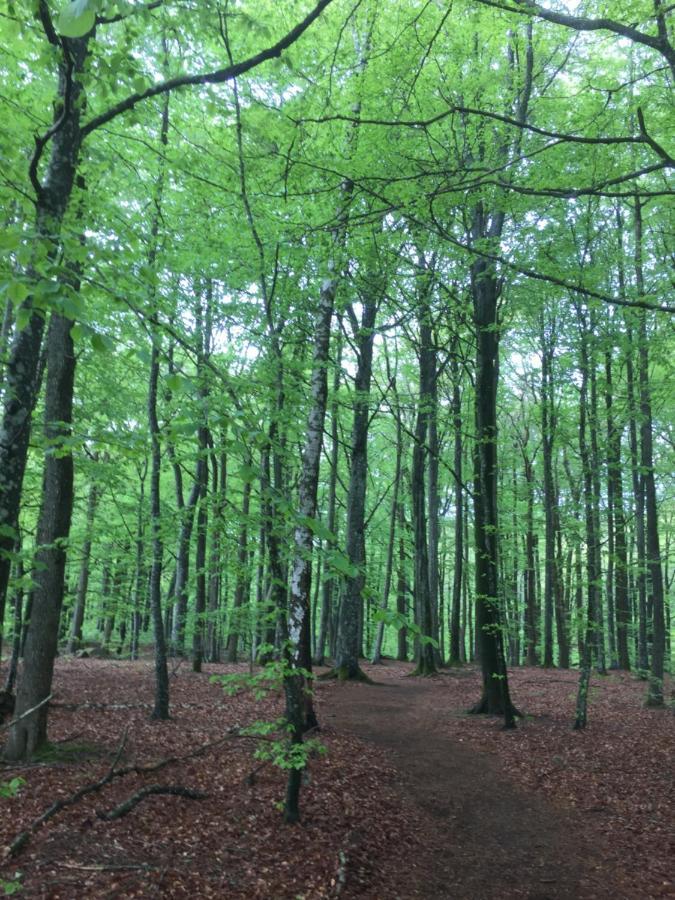 Dövared Tvååker Exteriör bild