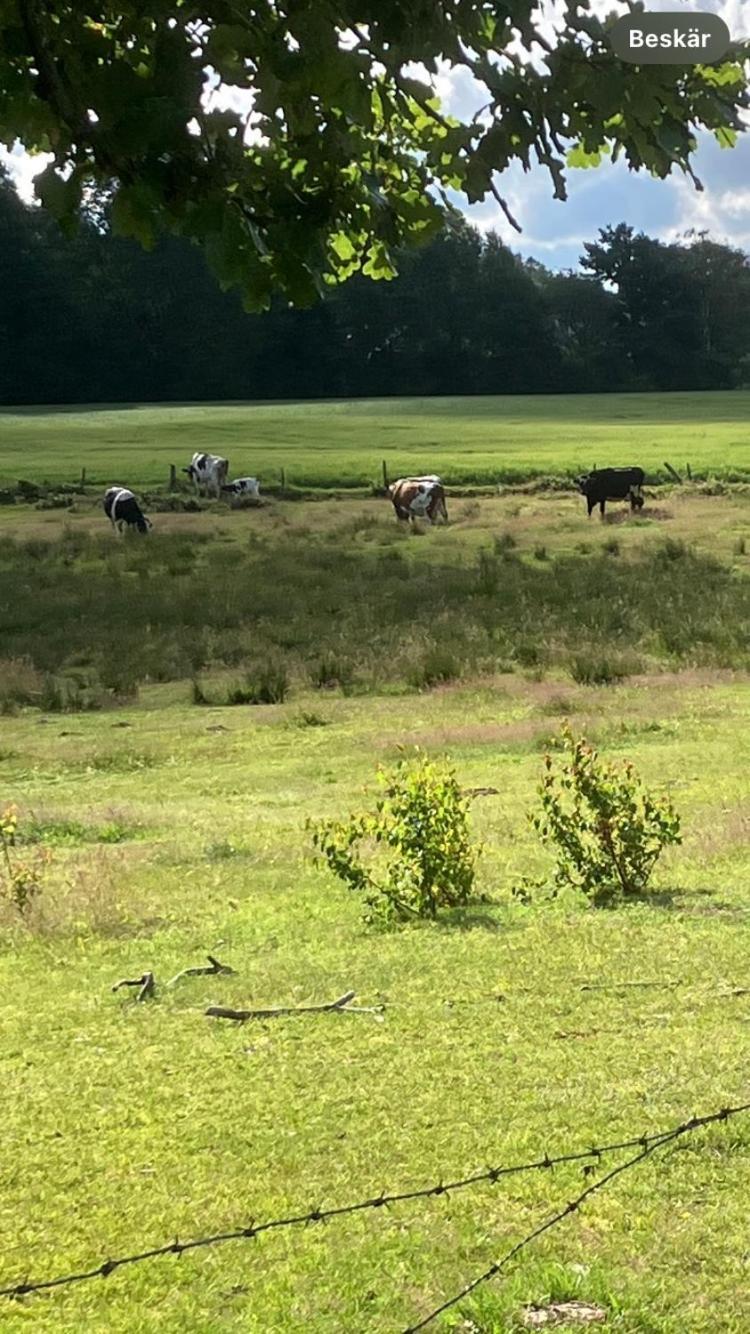 Dövared Tvååker Exteriör bild
